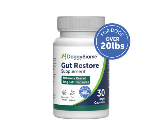 DoggyBiome Gut Resotre Supplement- Large