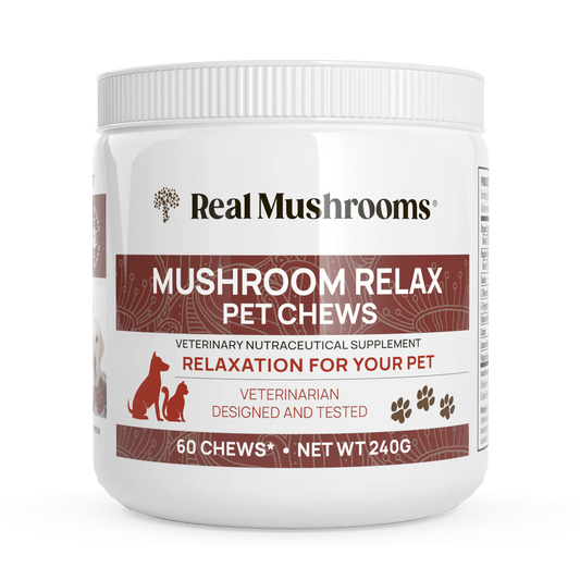 Real Mushrooms Relax Chews