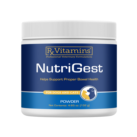 RX Nutrigest Bulk Powder