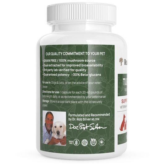 Real Mushrooms- Turkey Tail