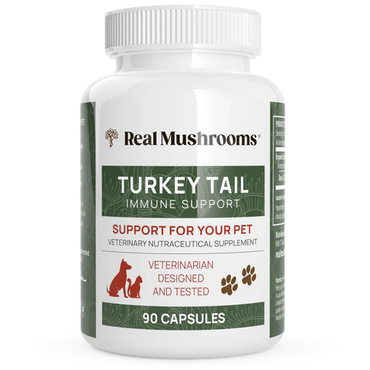 Real Mushrooms- Turkey Tail